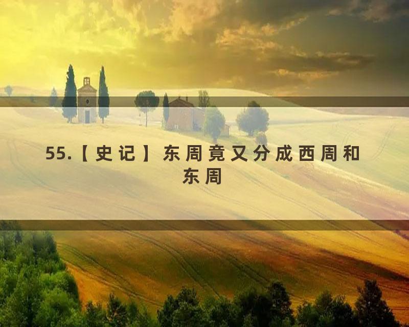 55.【史记】东周竟又分成西周和东周