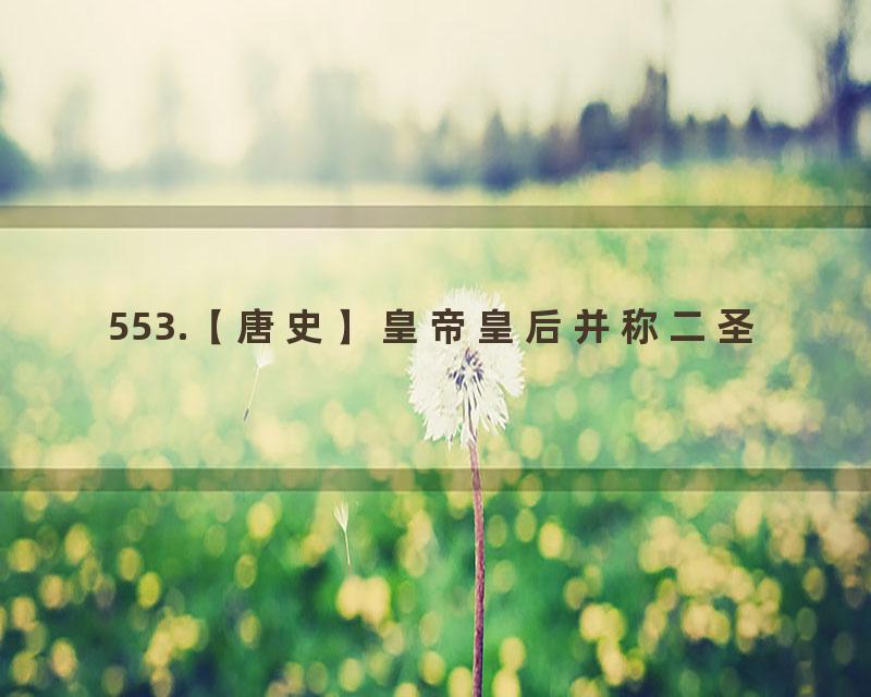 553.【唐史】皇帝皇后并称二圣