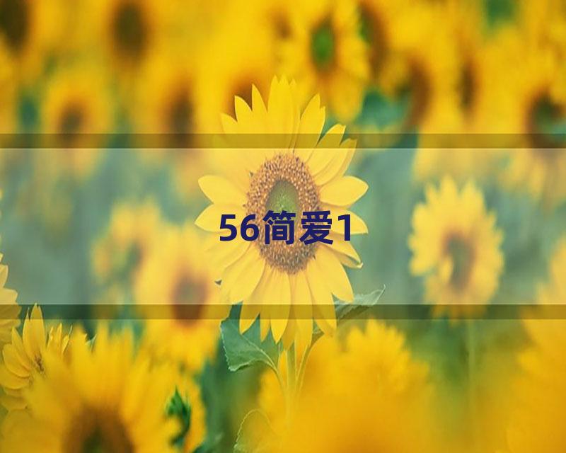 56简爱1