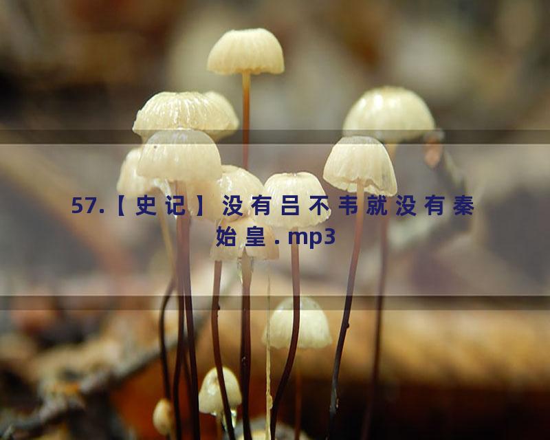 57.【史记】没有吕不韦就没有秦始皇. mp3