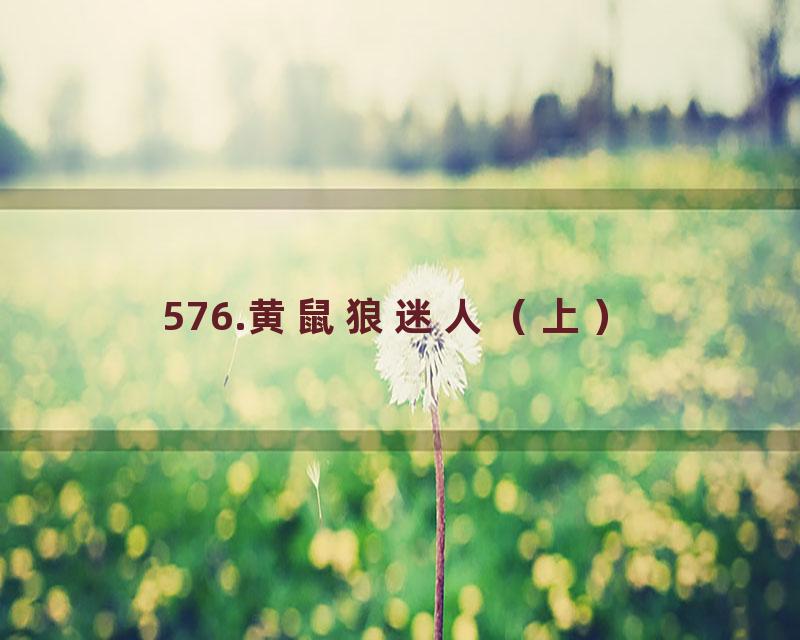 576.黄鼠狼迷人（上）