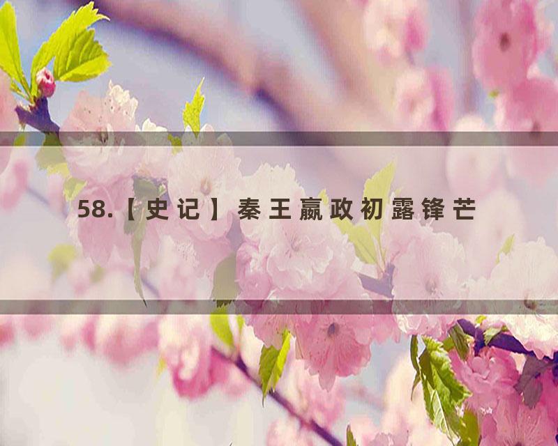 58.【史记】秦王嬴政初露锋芒