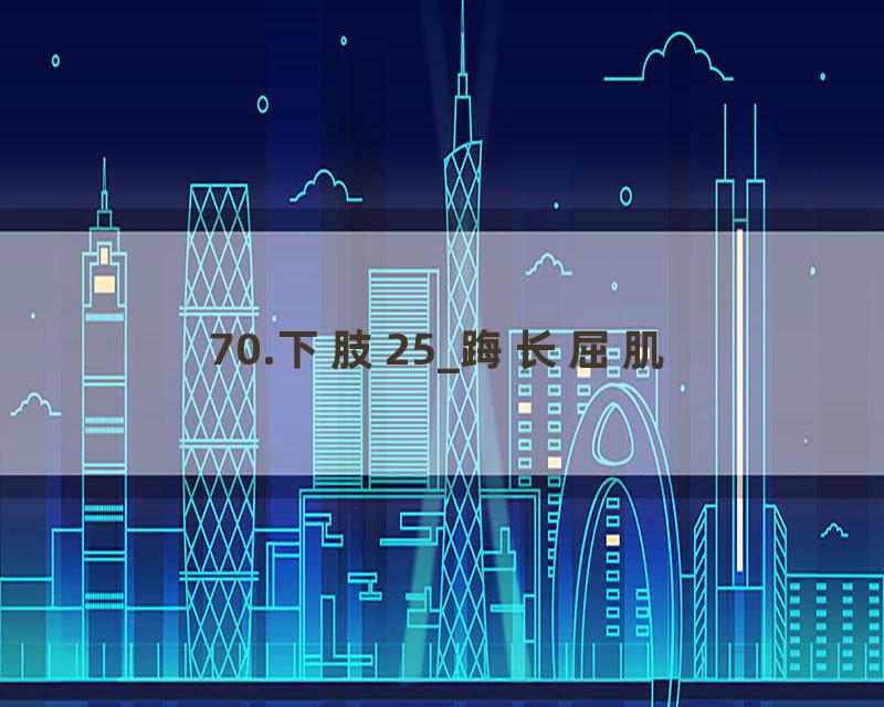 70.下肢25_踇长屈肌