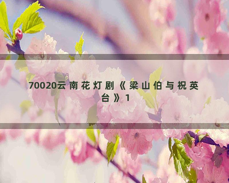 70020云南花灯剧《梁山伯与祝英台》1