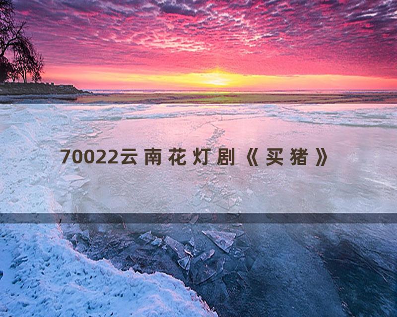 70022云南花灯剧《买猪》