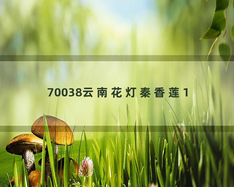 70038云南花灯秦香莲1