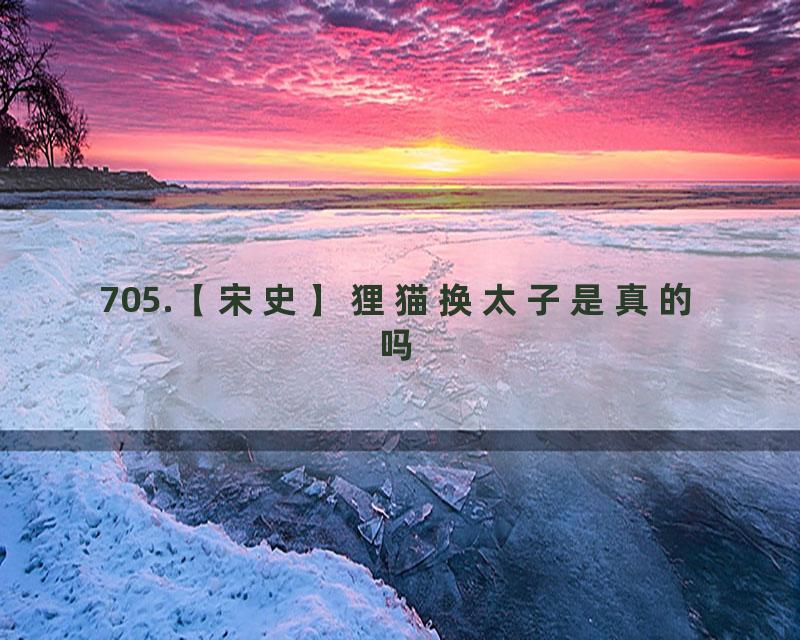 705.【宋史】狸猫换太子是真的吗