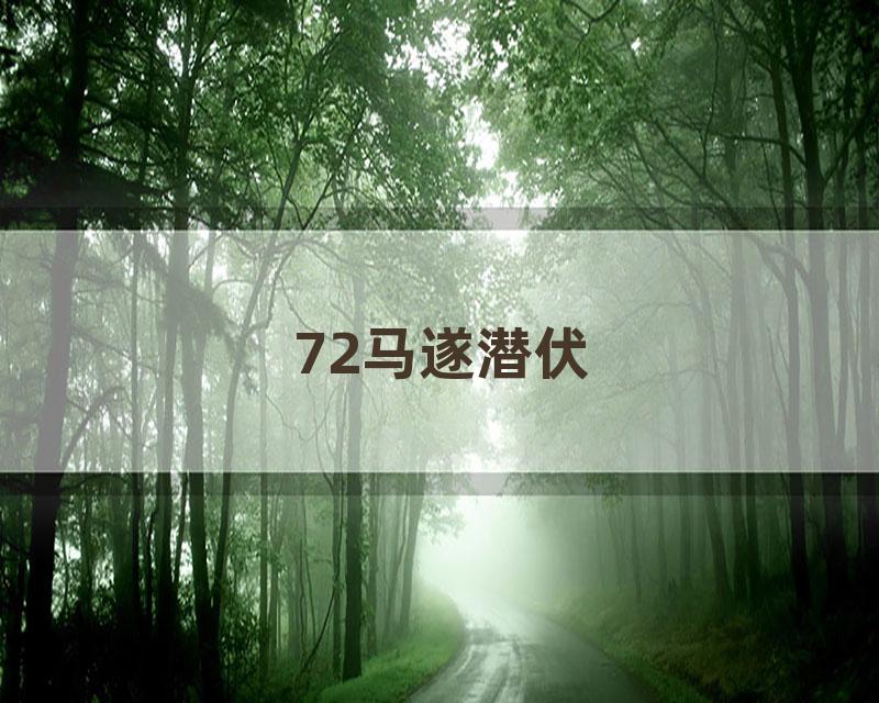 72马遂潜伏