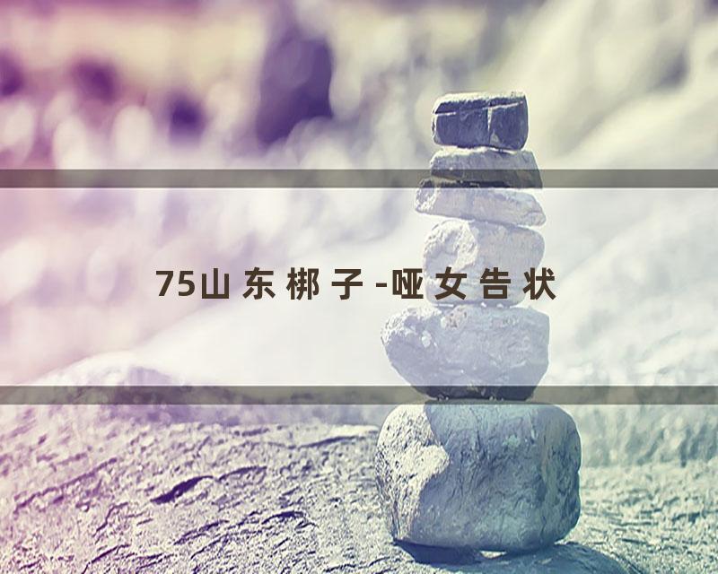 75山东梆子-哑女告状