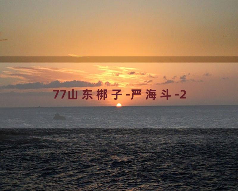 77山东梆子-严海斗-2