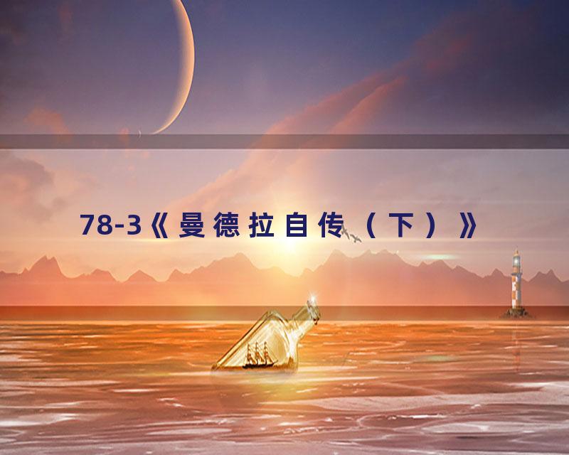 78-3《曼德拉自传（下）》