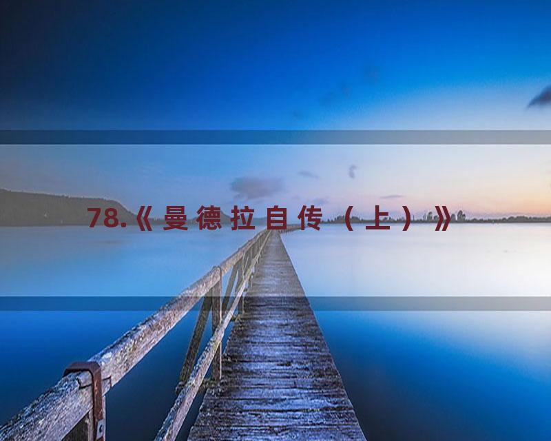 78.《曼德拉自传（上）》