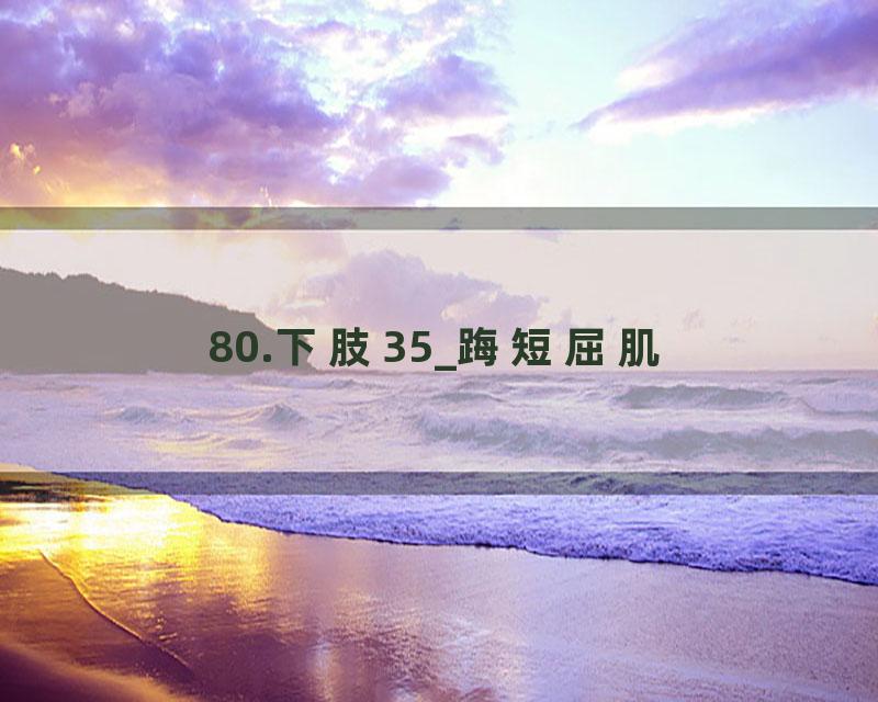 80.下肢35_踇短屈肌