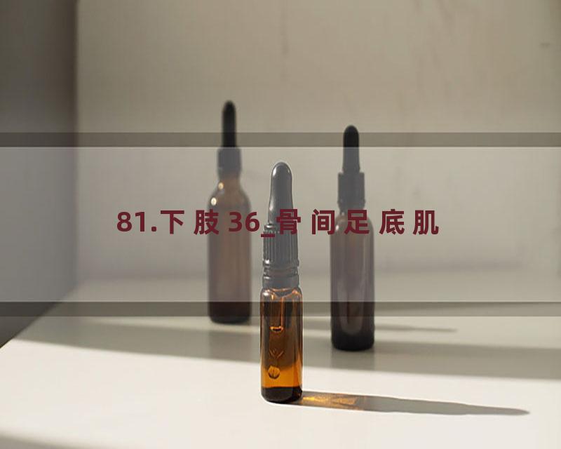 81.下肢36_骨间足底肌