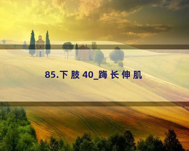 85.下肢40_踇长伸肌