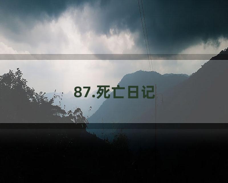 87.死亡日记