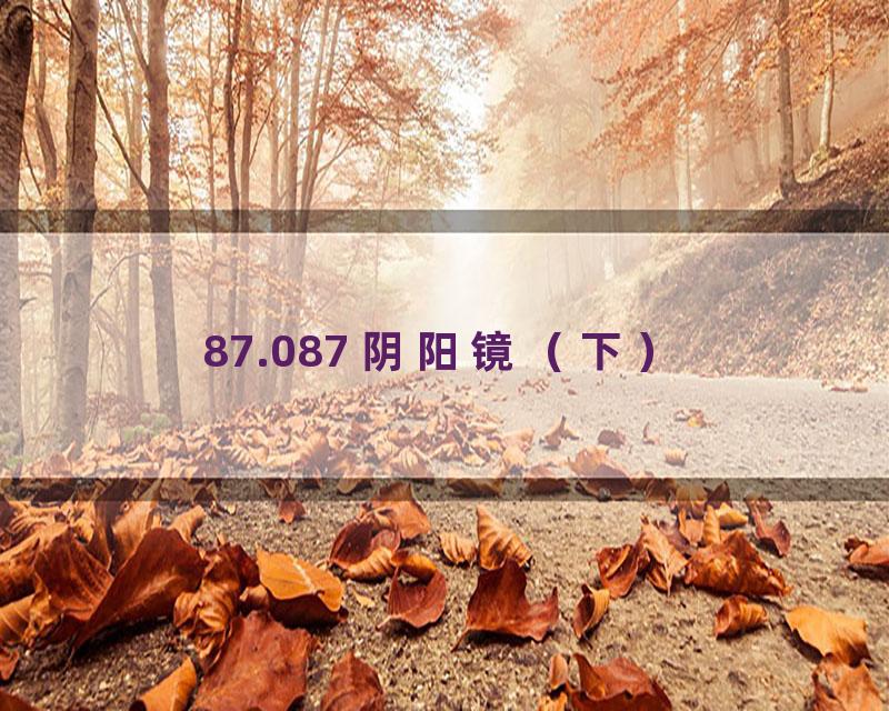 87.087 阴阳镜（下）