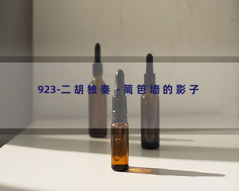 923-二胡独奏 - 篱笆墙的影子