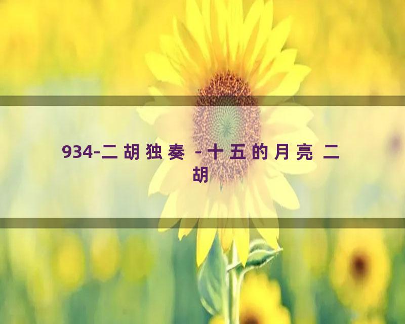 934-二胡独奏 - 十五的月亮 二胡