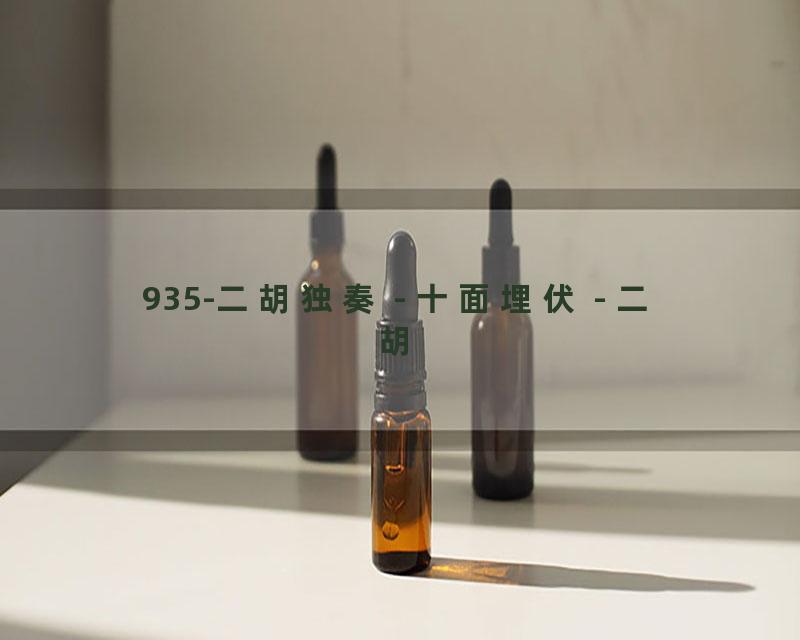 935-二胡独奏 - 十面埋伏 - 二胡