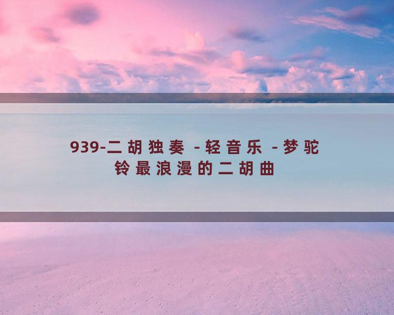 939-二胡独奏 - 轻音乐 - 梦驼铃最浪漫的二胡曲