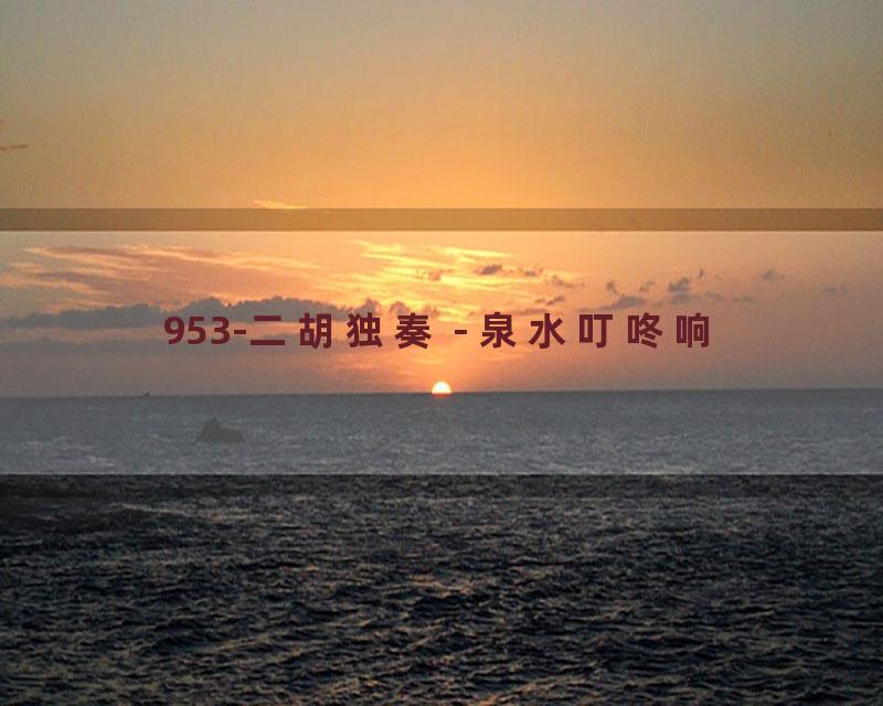 953-二胡独奏 - 泉水叮咚响