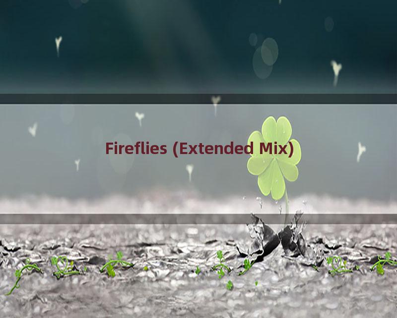 Fireflies (Extended Mix)