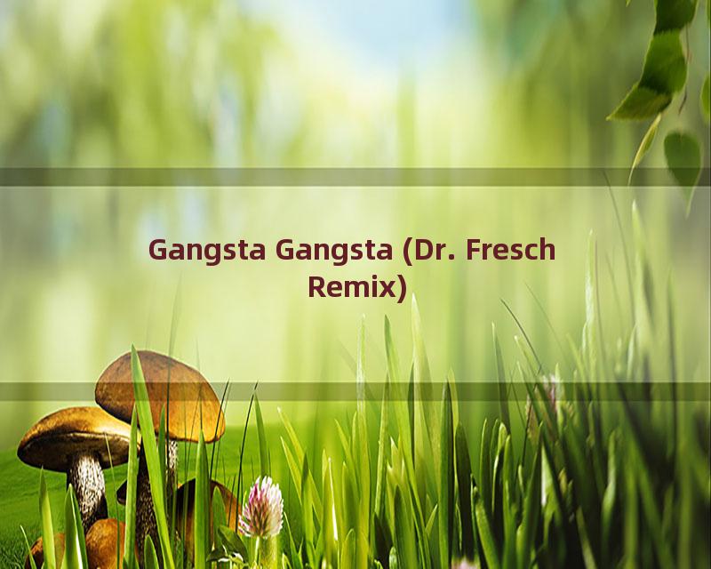 Gangsta Gangsta (Dr. Fresch Remix)