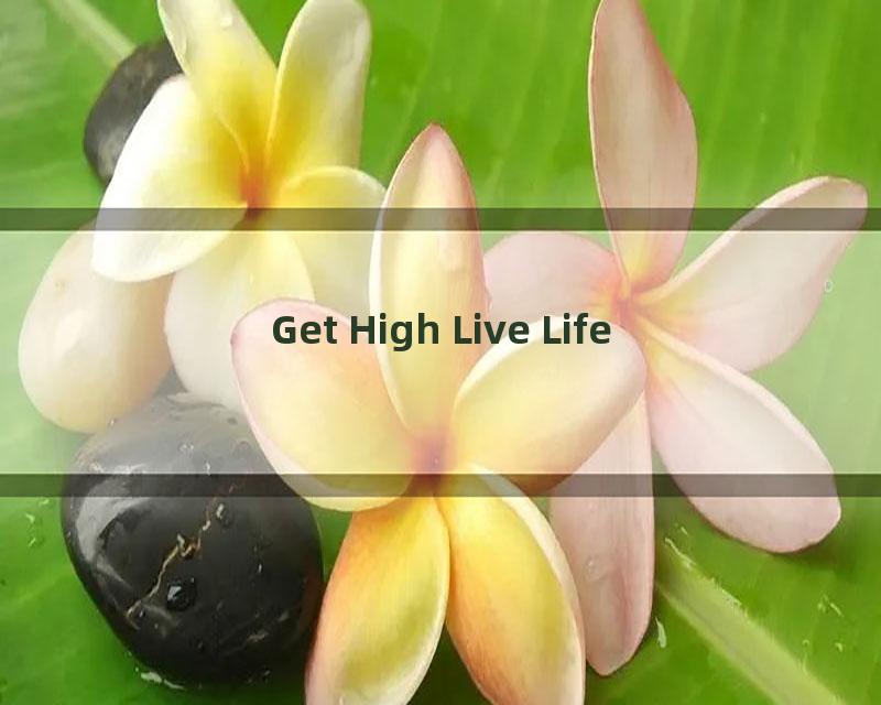 Get High Live Life