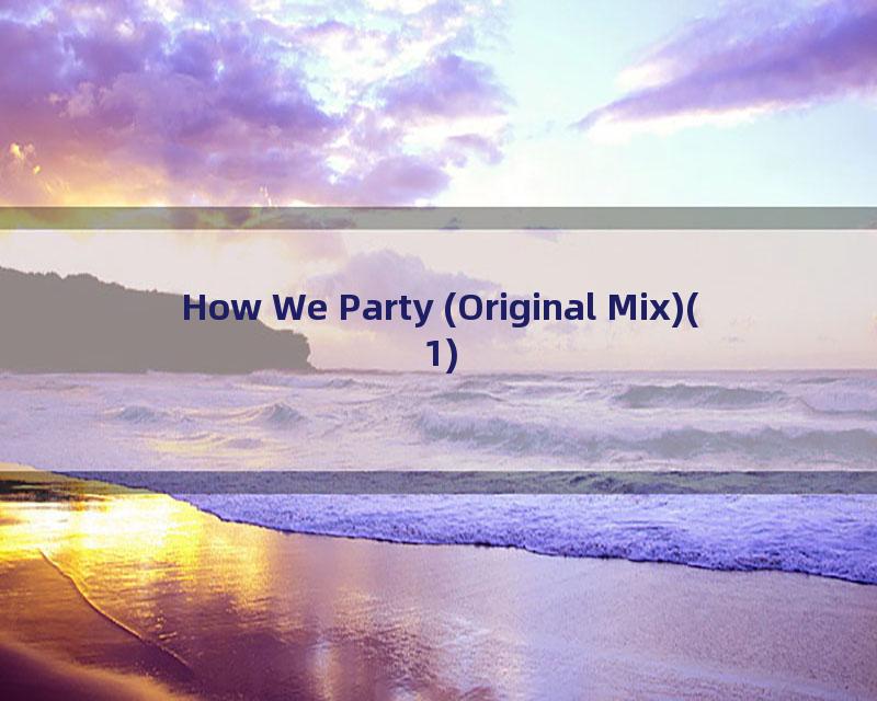 How We Party (Original Mix)(1)