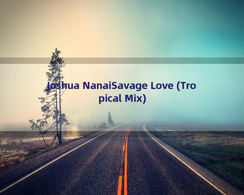 Joshua NanaiSavage Love (Tropical Mix)