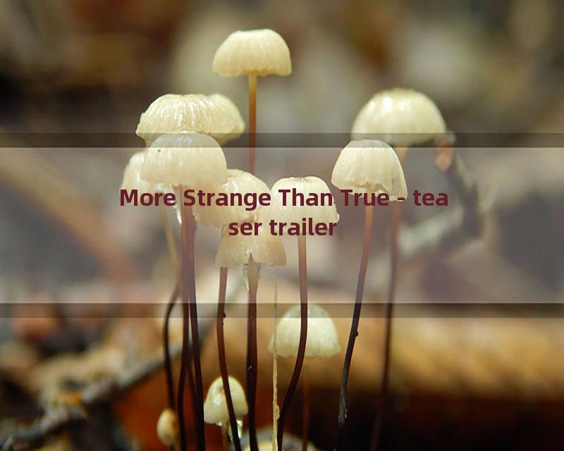 More Strange Than True - teaser trailer