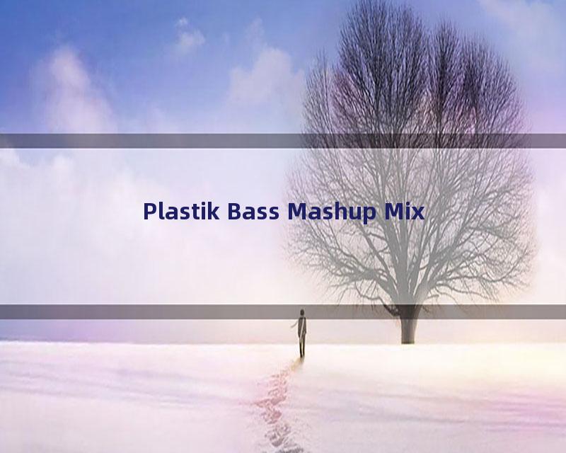 Plastik Bass Mashup Mix