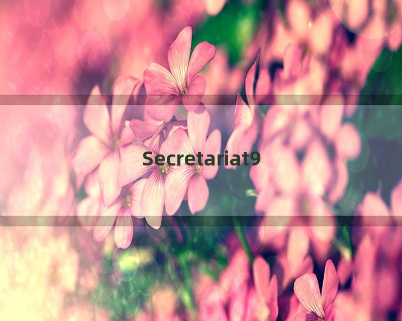 Secretariat9