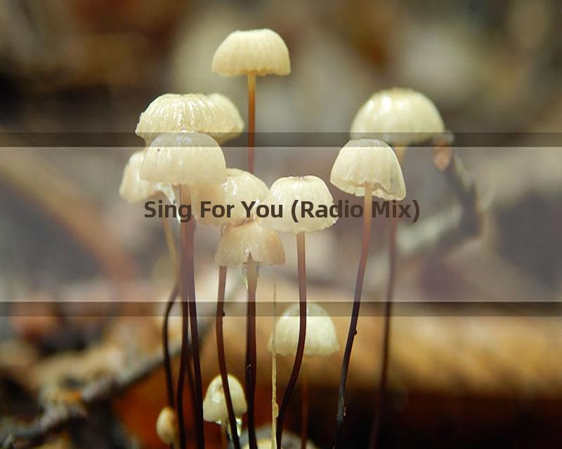 Sing For You (Radio Mix)