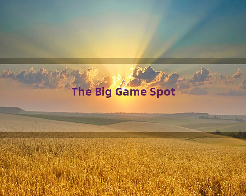 The Big Game Spot