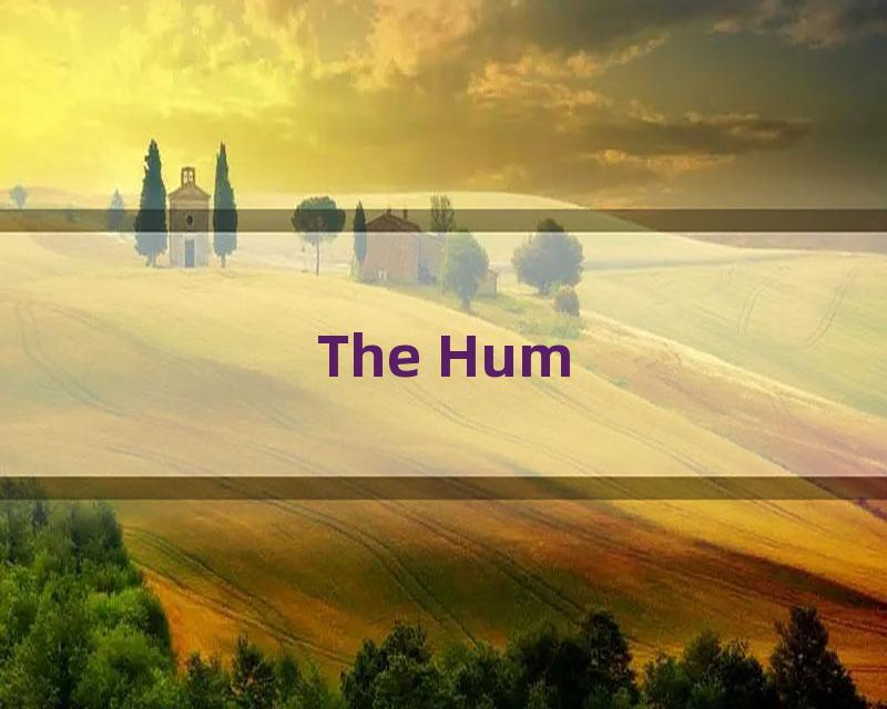 The Hum