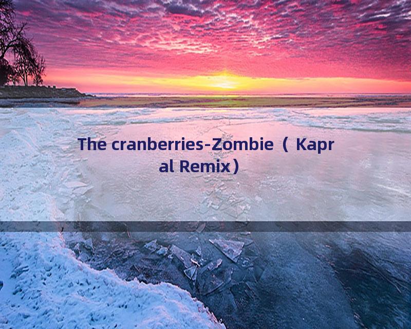 The cranberries-Zombie（Kapral Remix）