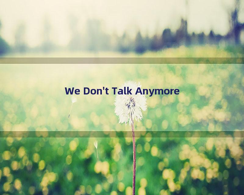 We Don't Talk Anymore